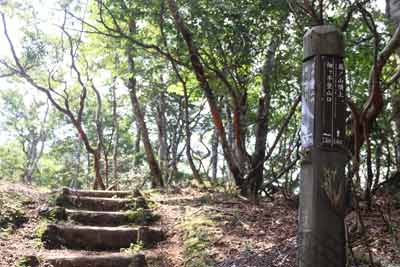 畑ヶ平登山口への分岐
