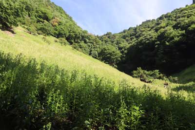 霧ヶ滝カール