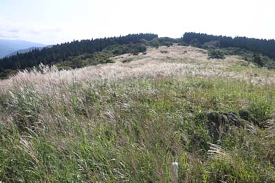 尾根