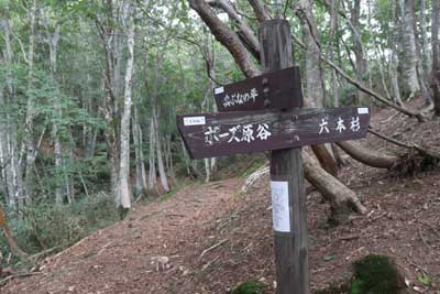 六本杉へ