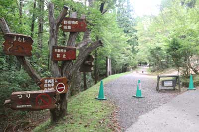 森林公園入口