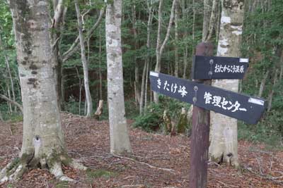 分岐