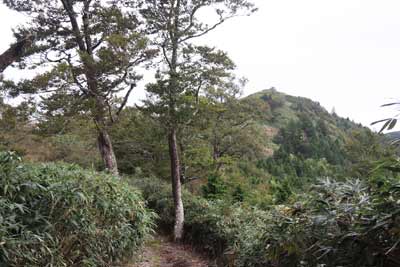 富栄山が見えてきた