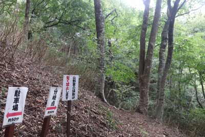 ふぐるみ原生林入口