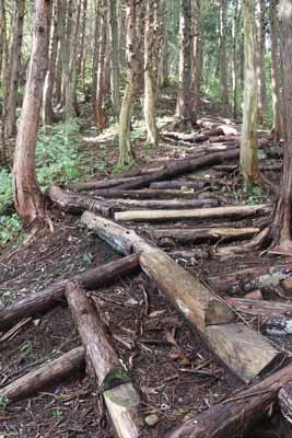 登山道の整備