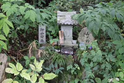 タンナトリカブト