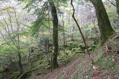 雰囲気の良い所