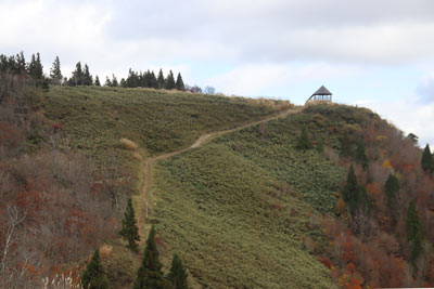 ブナの谷頭・展望舎