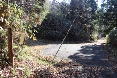 林道分岐
