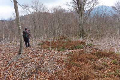 バリエーションルート