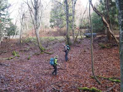 東因幡林道出合
