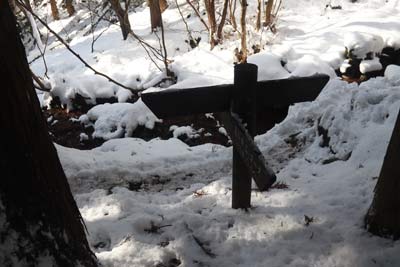 Ｂコースに合流