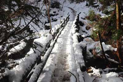 蛇淵沢の橋