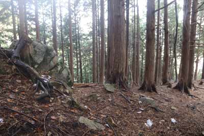 Ｂコースに合流