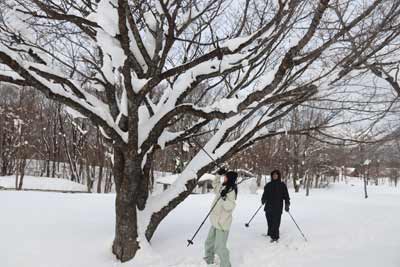 蒜山高原キャンプ場
