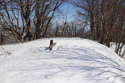 金ヶ谷山山頂