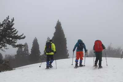 ビクトリーロード