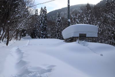 駐車場のトイレ