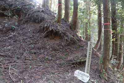 登山口