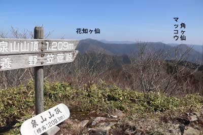 ライオン岩から