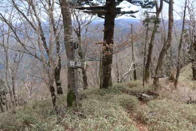 日和田登山口への分岐