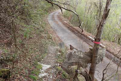 林道登山口