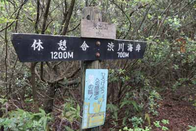 矢出山