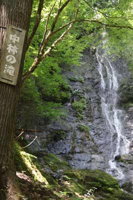 中林の滝