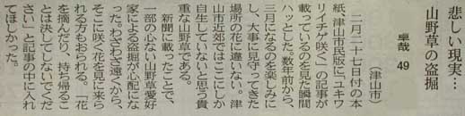 ちまた欄