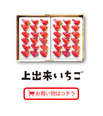 上出来いちごお買い物はコチラ