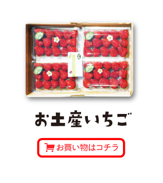 お土産いちごお買い物はコチラ