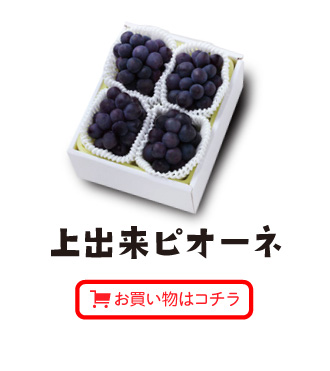 上出来ピオーネお買い物はコチラ