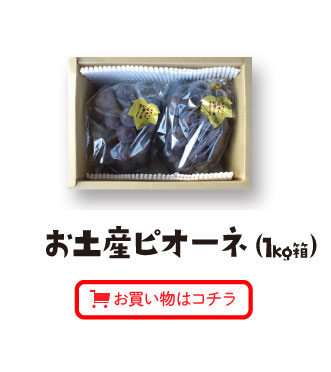 お土産ピオーネ（1㎏箱）お買い物はコチラ