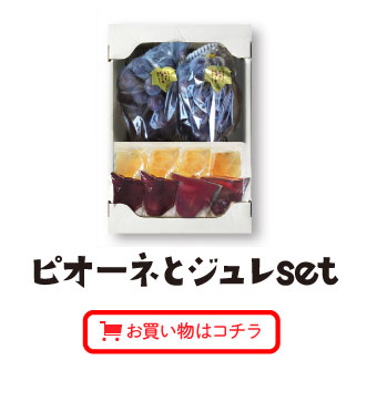 ピオーネとジュレsetお買い物はコチラ