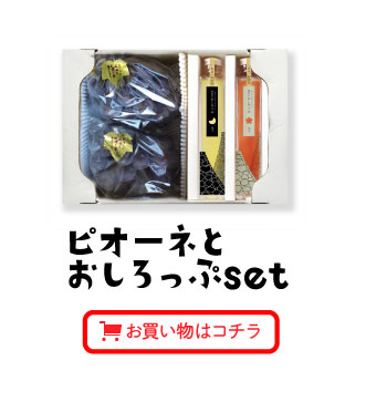 ピオーネとおしろっぷsetお買い物はコチラ