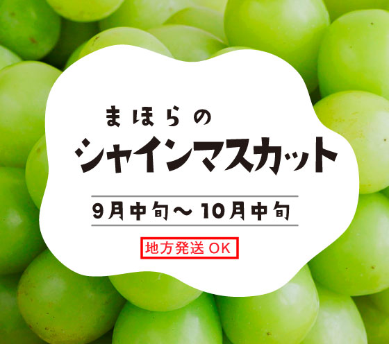 まほらのシャインマスカット9月中旬～10月中旬・地方発送OK