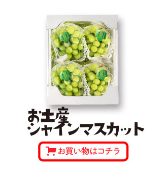 お土産シャインマスカット（2㎏箱）お買い物はコチラ