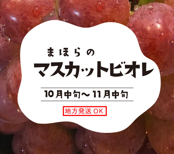 まほらのマスカットビオレ8月下旬～9月中旬・地方発送OK