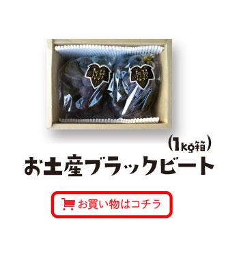 お土産ブラックビート（2㎏箱）お買い物はコチラ