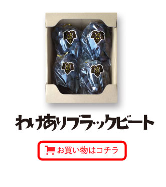 わけありブラックビートお買い物はコチラ