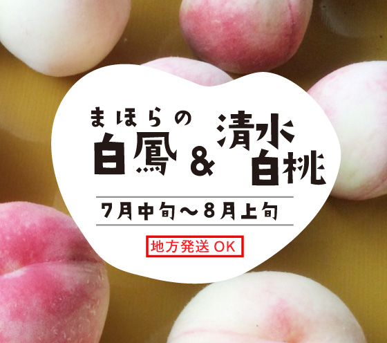 まほらの白鳳&清水白桃7月中旬～8月上旬・地方発送OK