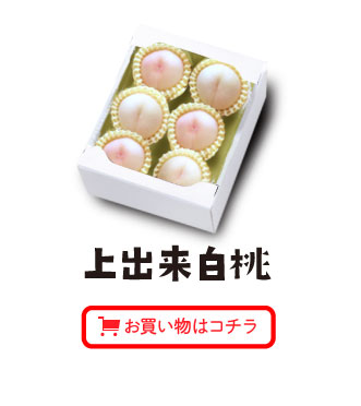 上出来白桃 お買い物はコチラ
