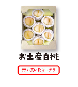 お土産白桃お買い物はコチラ