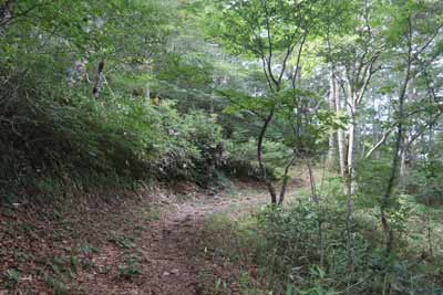 登山道