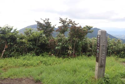 擬宝珠山山頂