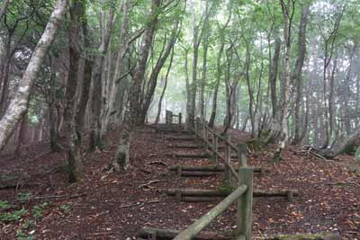 登山道