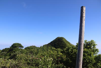ユートピア分岐
